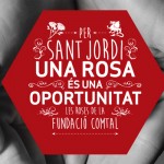 rosas-solidarias-sant-jordi-exclusion-social