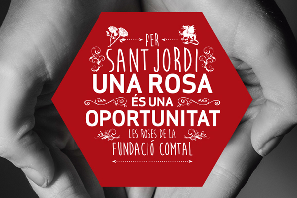 rosas-solidarias-sant-jordi-exclusion-social