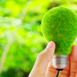 que es ecoinovación