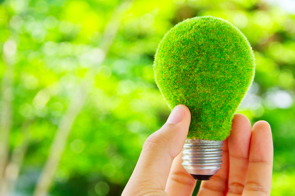 que es ecoinovación